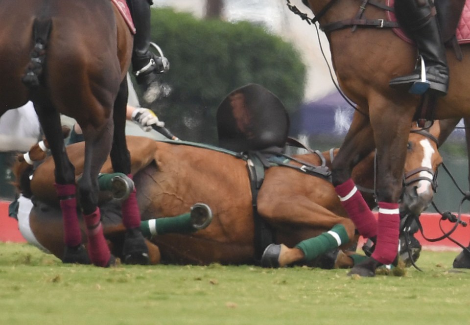 The Duke of Sussex came crashing to the ground during the game