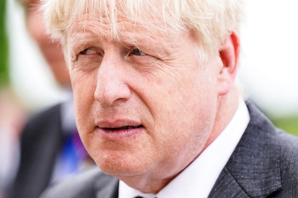 Boris Johnson's own cost of living tsar called for him to quit