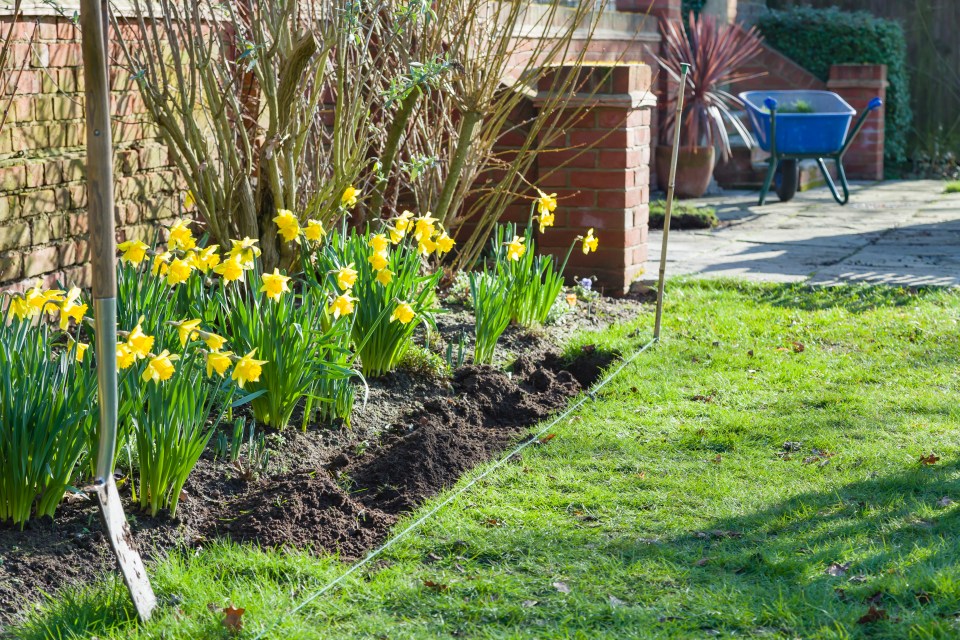 Make your flower beds pop with Sara’s tips