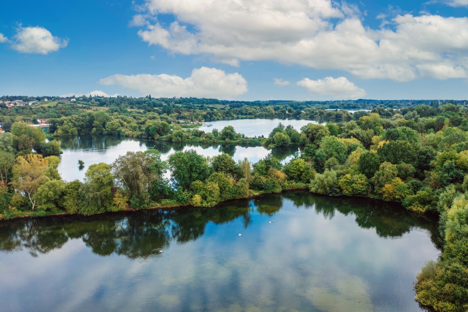 an aerial view of a lake surrounded by trees