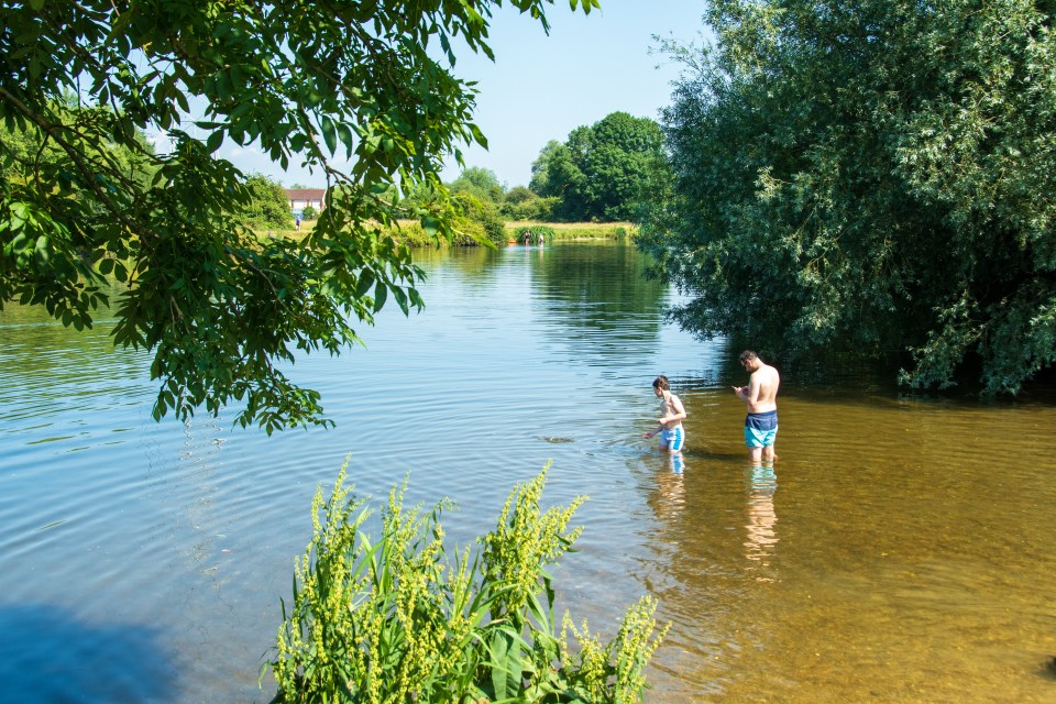 a man and a boy are swimming in a lake