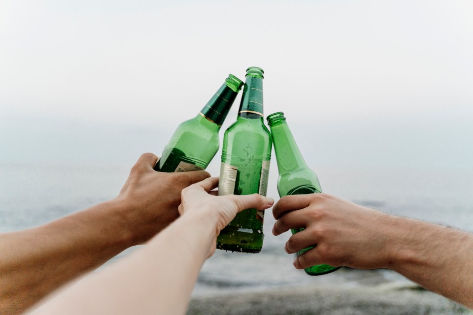 A bottle of lager a day could boost healthy gut bacteria, a study found