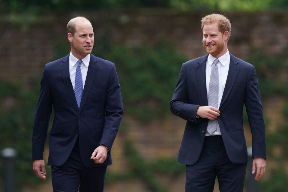 Sources close to Prince William have claimed he thinks his brother is living in an 'alien world'