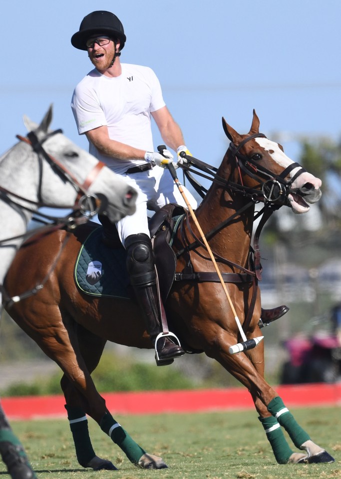 Pained Harry's team were held to a defeat in Santa Barbara