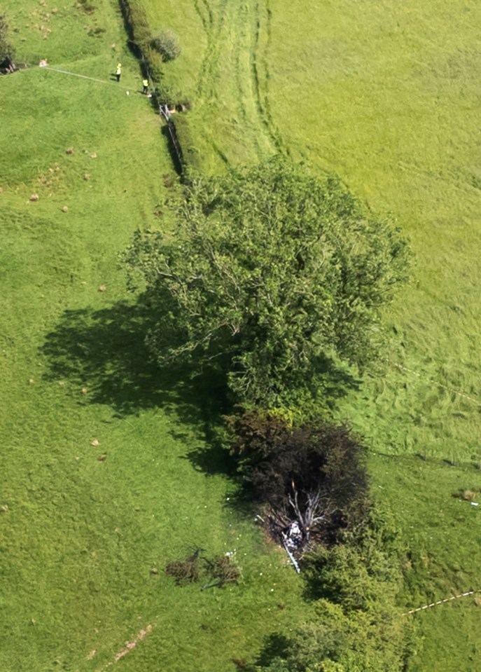 A scorched tree is said to be where the helicopter crashed