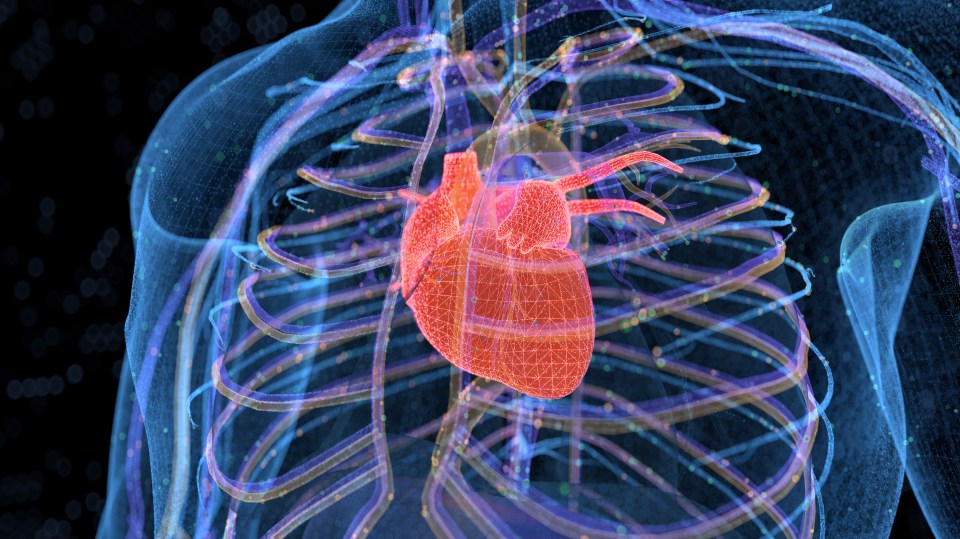 Good cholesterol makes you less likely to have heart problems or a stroke, while the bad stuff ups your risk