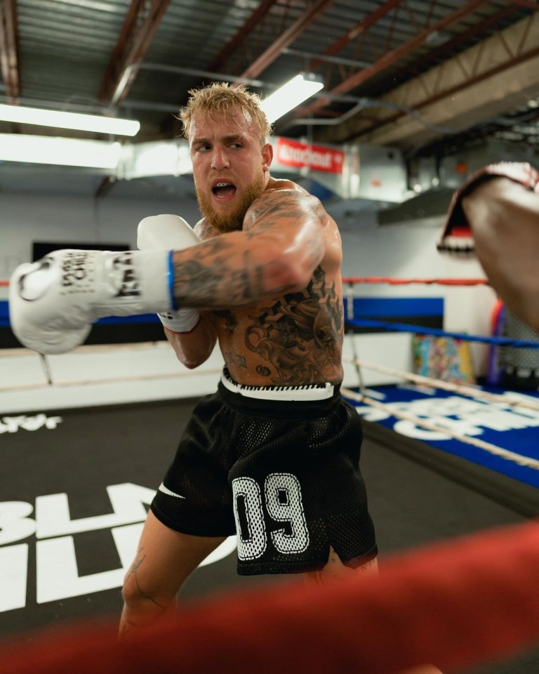 YouTuber-turned-boxer Jake Paul has won all five of his fights since turning professional