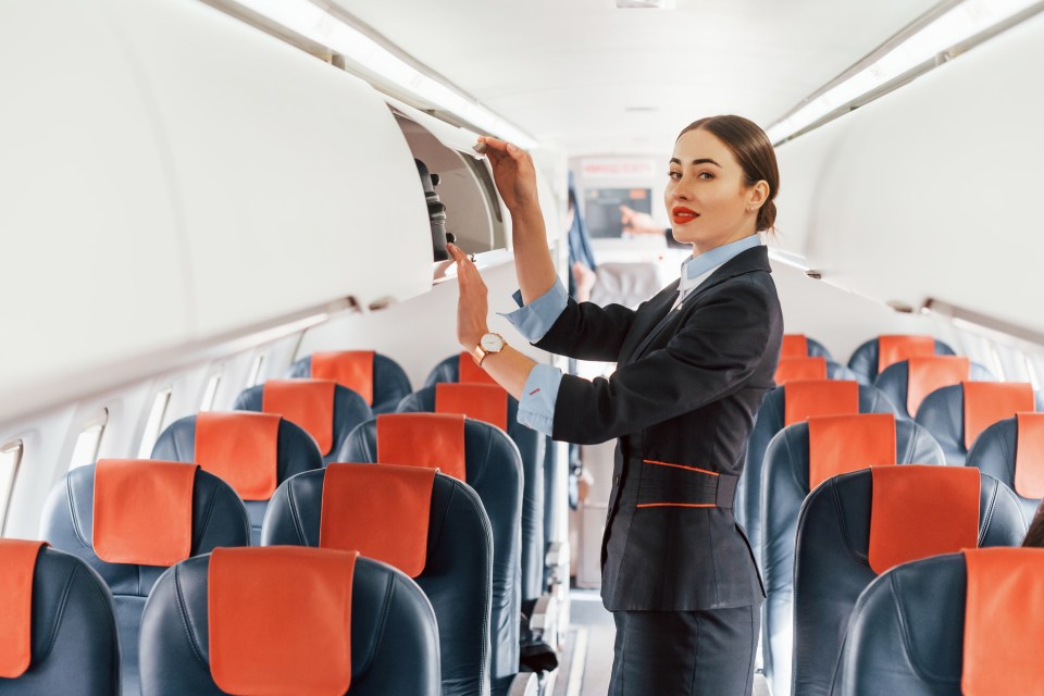 A flight attendant has advised passengers not to use third party booking sites (stock image)