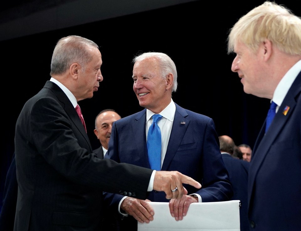 Joe Biden speaks with Turkey's Recep Tayyip Erdogan and Boris Johnson at the Nato summit today