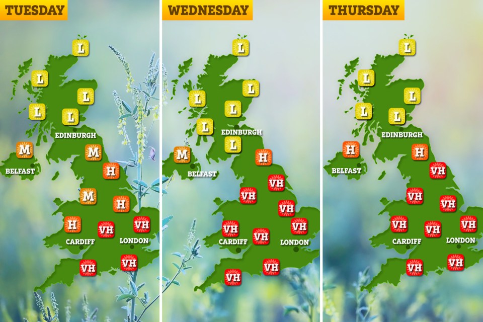 The chart above shows the pollen count over the next three days