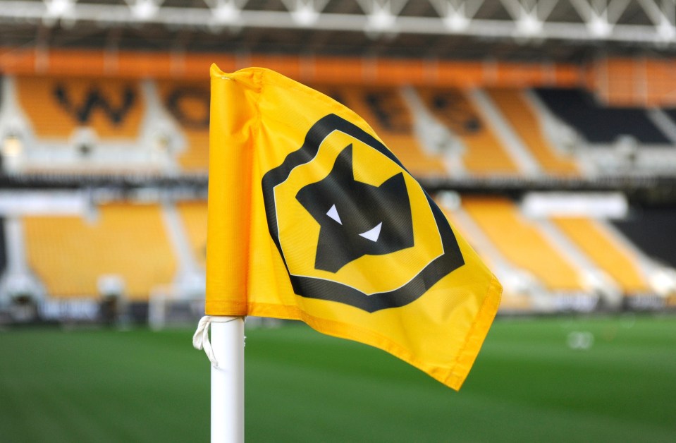 Molineux hosts England vs Hungary this week