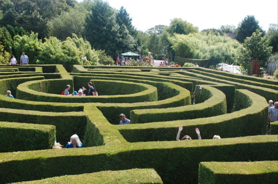 The couple open the puzzle-shaped network of paths and hedges to the public once a year to raise money for charity.