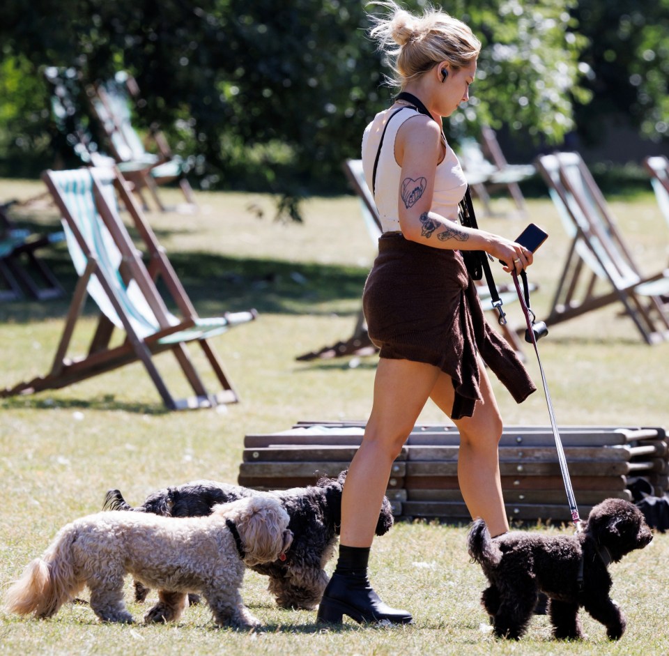 A woman walking dogs in the warm summer weather in Hyde Park