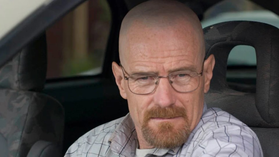 Bryan pictured as Walter White in Breaking Bad