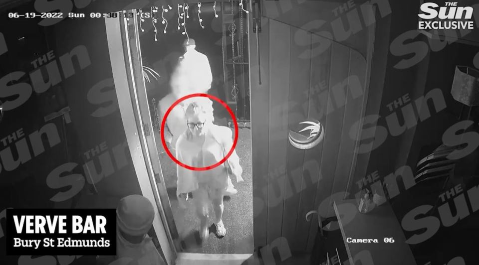 New CCTV footage shows Jessie Wallace entering a club before she kneed a cop in the groin