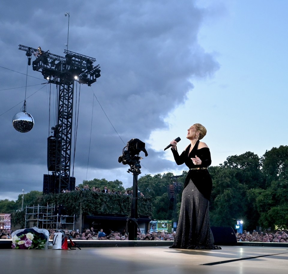 Adele on stage at Hyde Park last night