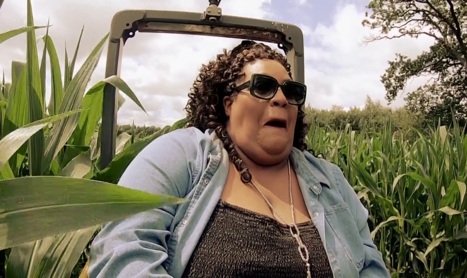 Alison Hammond ran into trouble driving a road roller