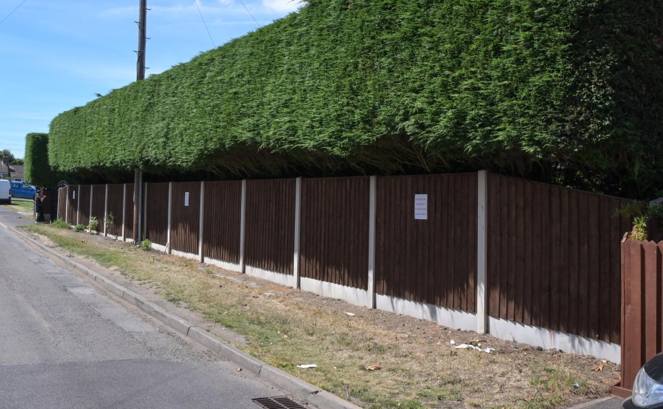 Steven insists the grass verge is fair game