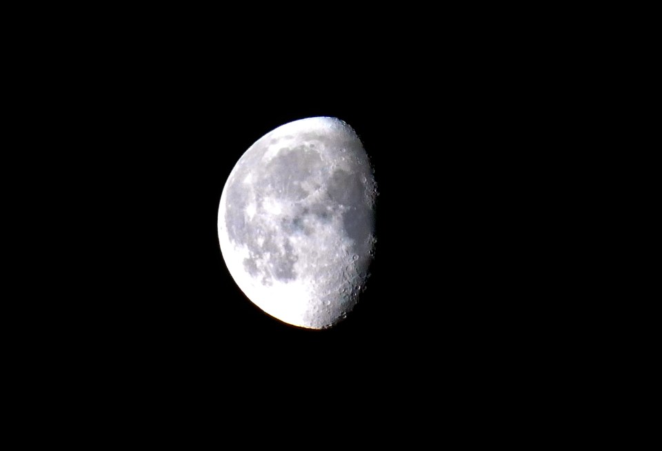 a crescent moon is visible in the night sky