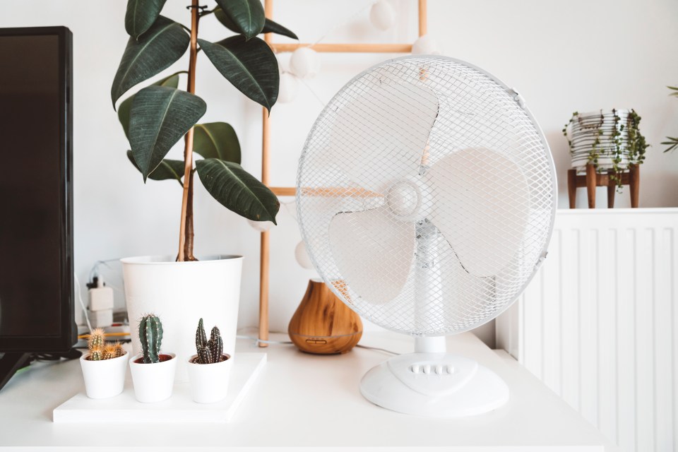 Fans may be contributing to your energy bills