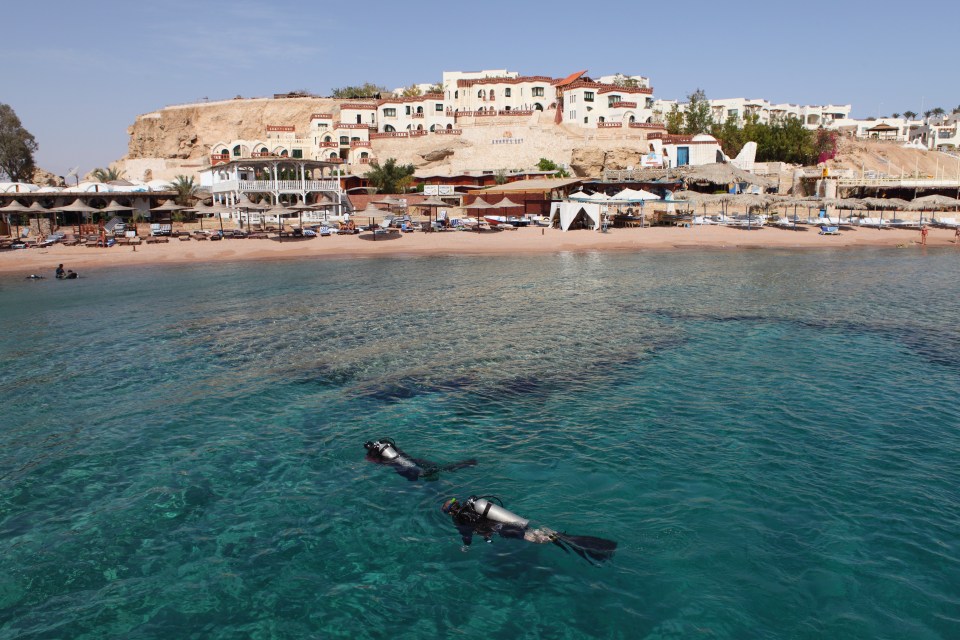 The Red Sea is deeper closer to shore, which can lead to larger shark sightings