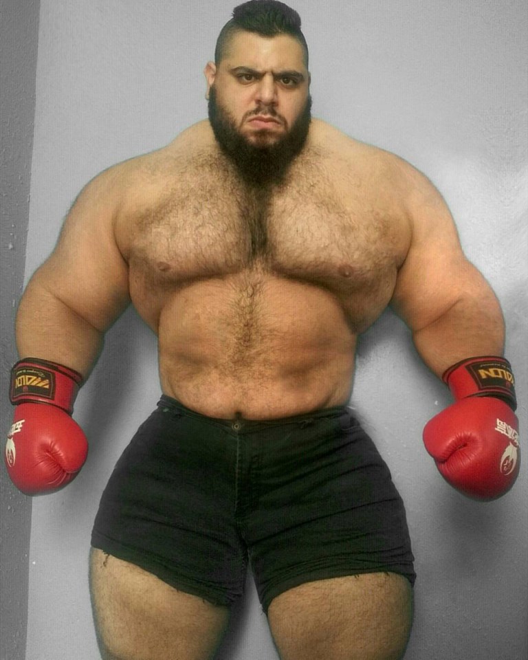 The Iranian Hulk has got his fight, and will take on the Kazakh Titan