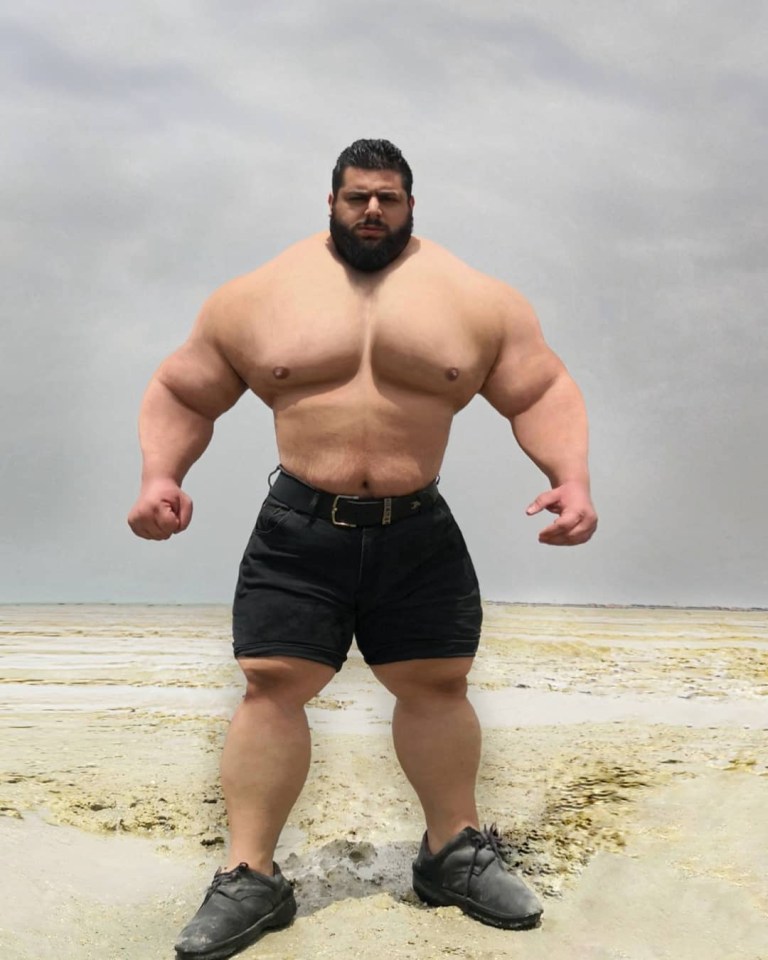 Iranian Hulk saw a fight against Brit Martyn Ford fall through