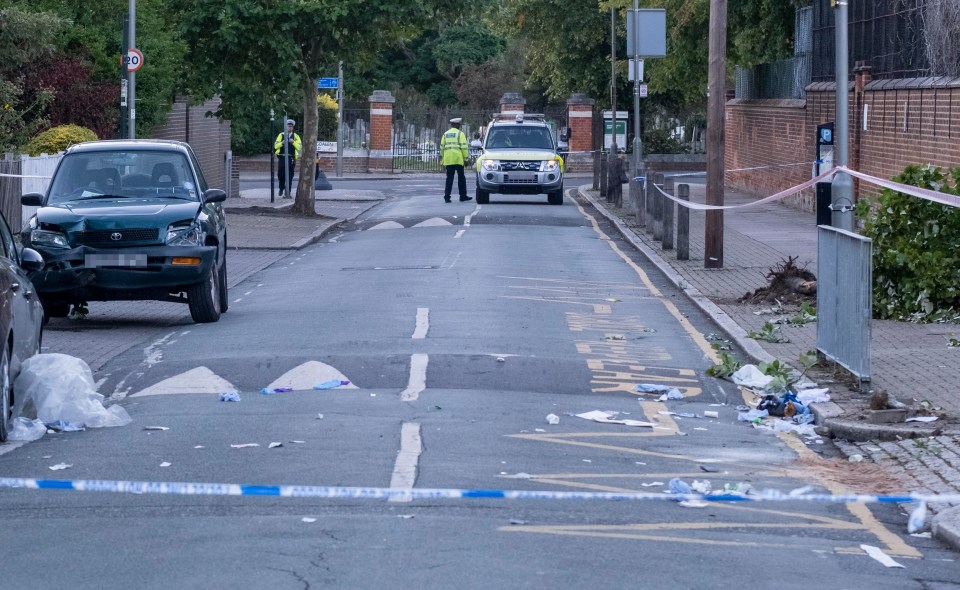 Her Toyota RAV4 crashed into the Beatrix Potter primary school in Earlsfield, South London