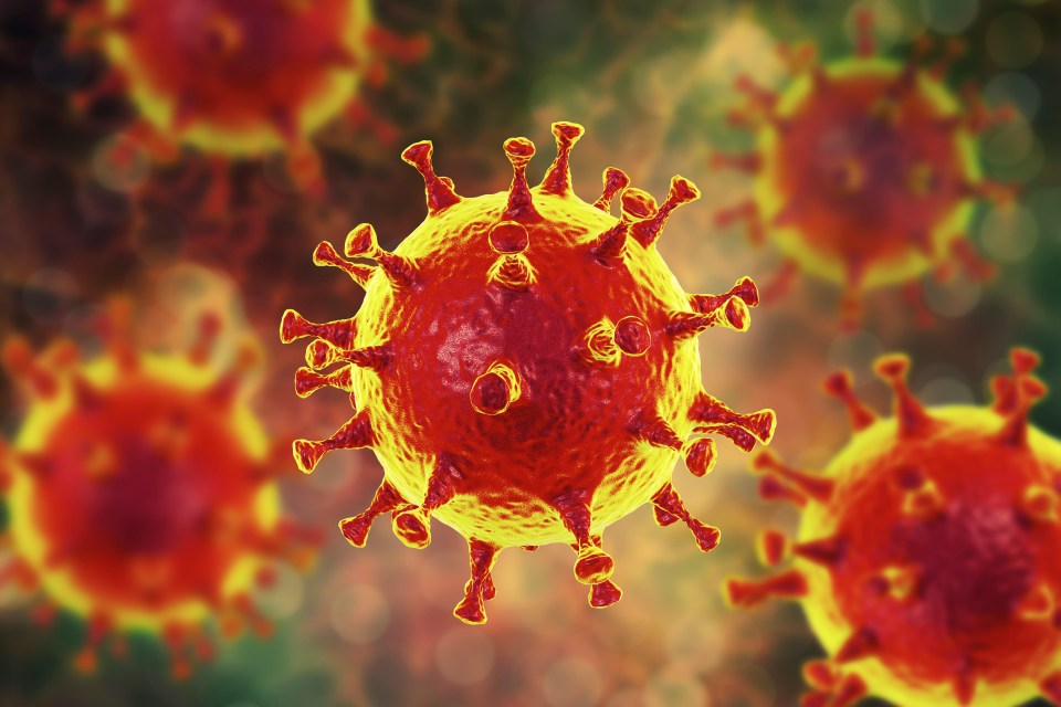 MERS kills up to 35 per cent of those it infects