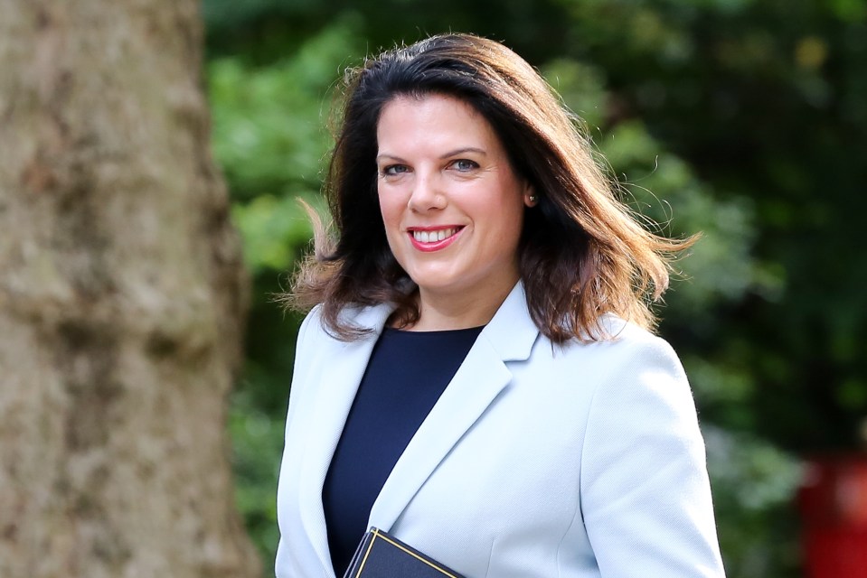 Women going through the menopause are being forced out of work by discrimination, MPs warn, pictured: Caroline Nokes