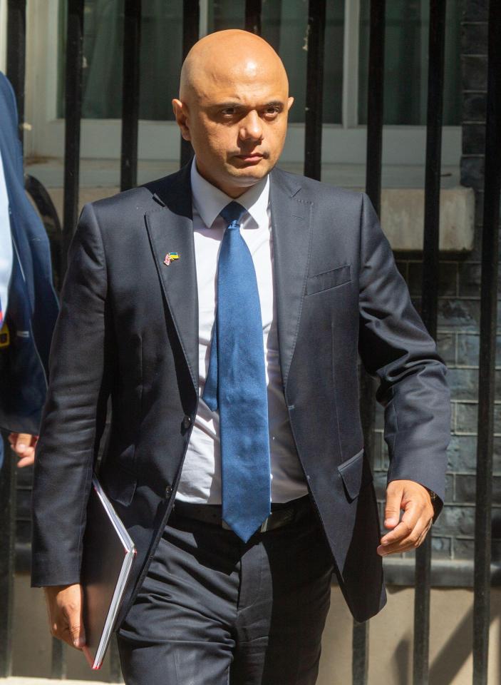 Sajid Javid was the first to resign this week. He plans a raft of tax cuts