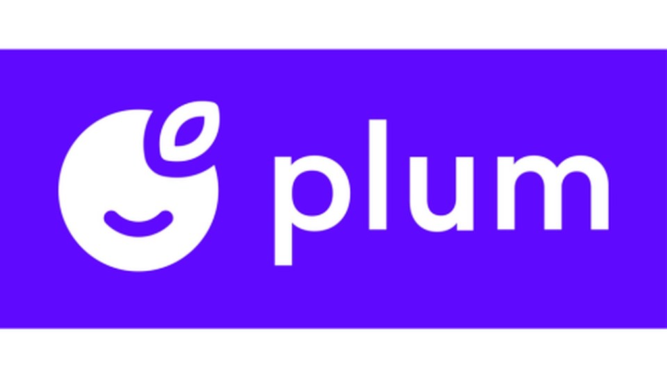 Plum calculates how much you can afford to save