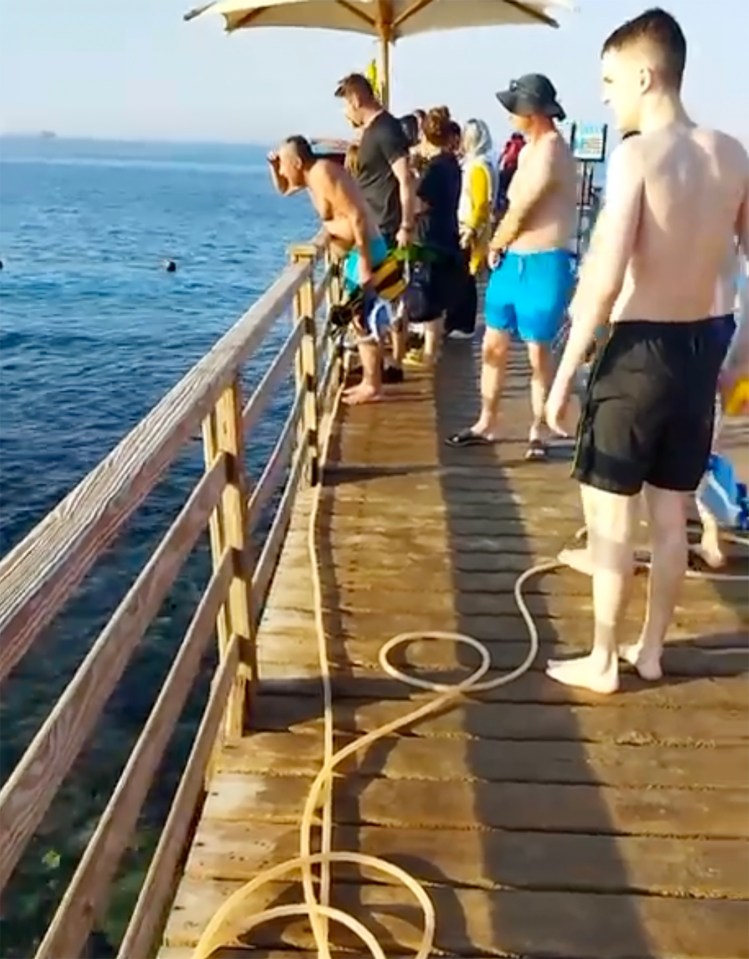 Eyewitnesses tried to save a 68-year-old Austrian woman from the shark