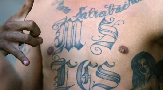 MS-13 is known for its motto "kill, rob, rape, control".