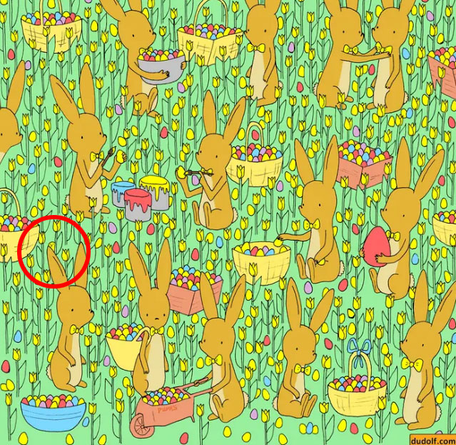 The little chick can be found in the red ring.