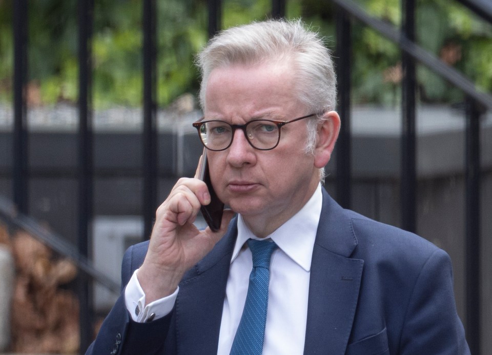 Secretary of State for Levelling Up Michael Gove  has been sacked