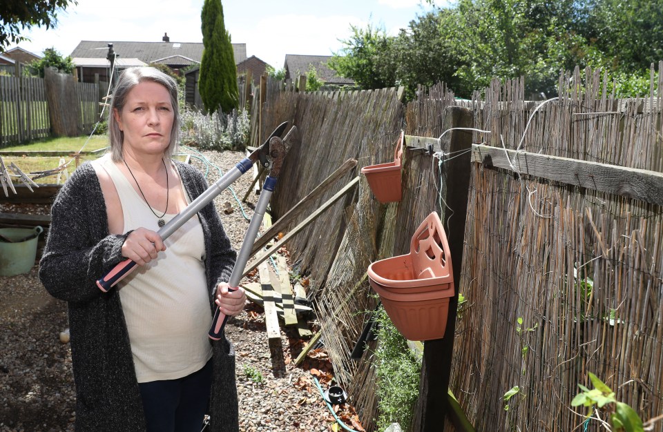 Dawn Turner was repeatedly filmed cutting her neighbour’s washing line