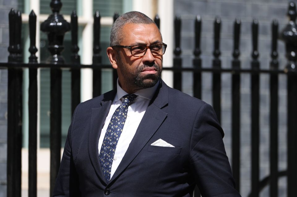 Newly-appointed Education Secretary James Cleverly, who is not running himself, says a new leader should be in place 'promptly'