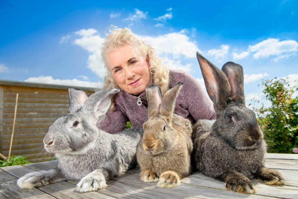 Harriot, Danny and Charlotte are heading to Canada