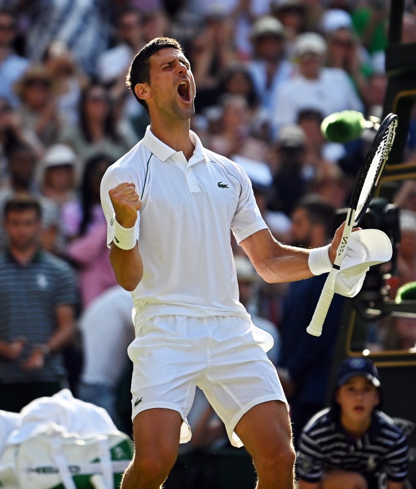 Novak Djokovic is into the 2022 Wimbledon final