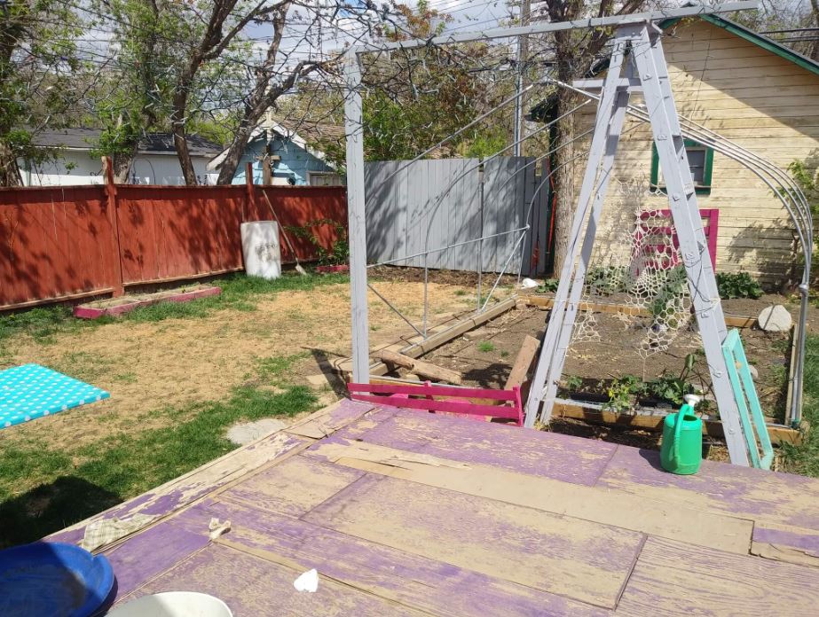 The woman wanted to give the shared fence a face-lift