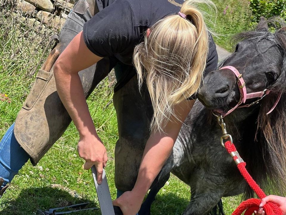 The TV star shared photos of a farrier working her magic on her horse