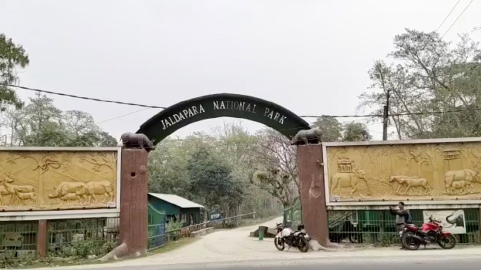 The four-legged feline passed away Jaldapara National Park