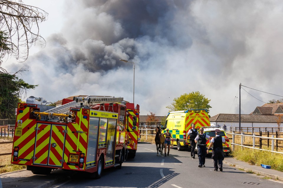 Fire crews on the scene in the village today