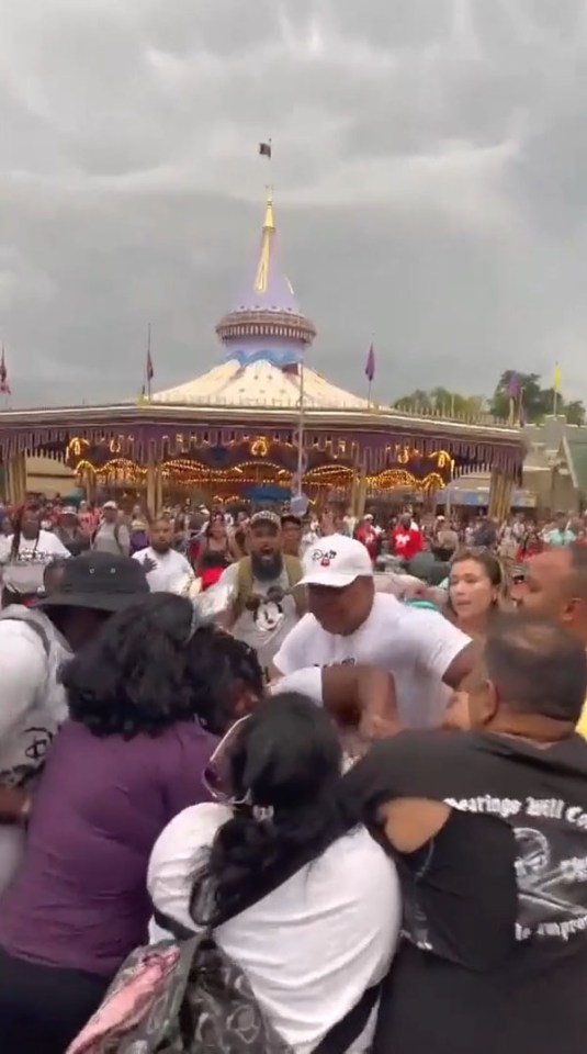 The viral footage shows the mass brawl erupt at the kids theme park