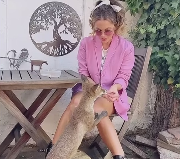 A viral clip of her feeding a fox at home saw her wearing a rude slogan T-shirt