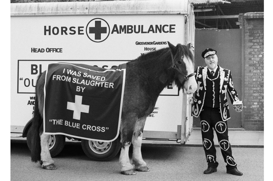 Bill Bailey dressed as a Pearly King to recreate photos from 125 years ago to celebrate Blue Cross's 125th anniversary