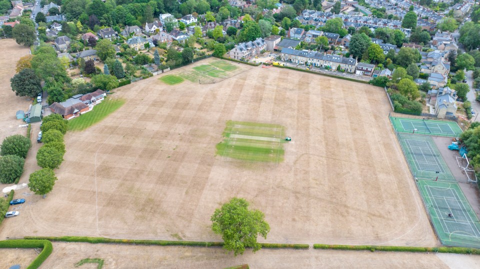 Parched cricket pitches in Cambridge as the drought continues