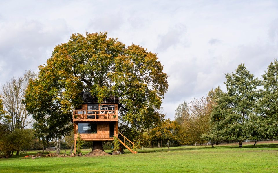 This treehouse is built around a huge oak