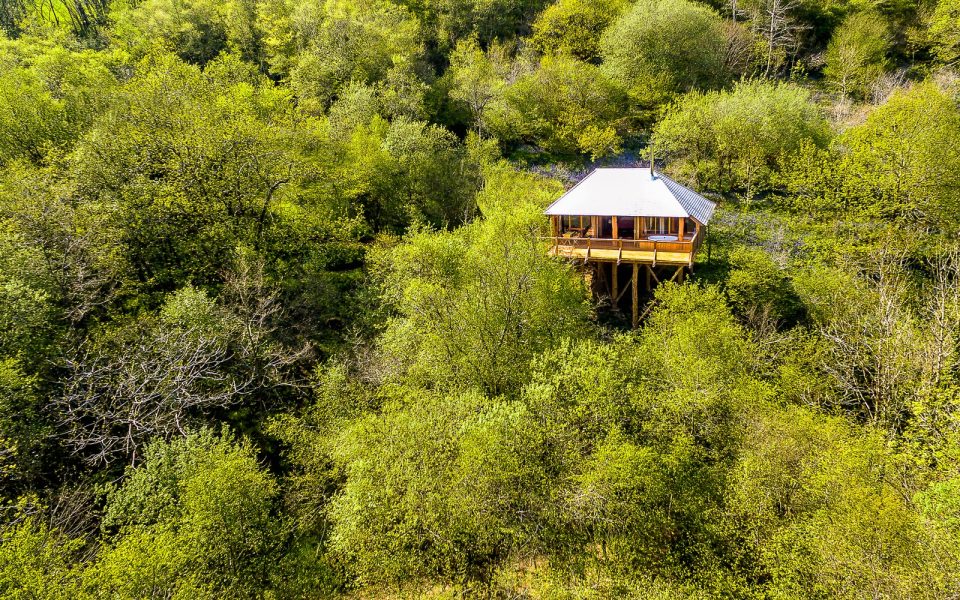 There are some incredible treehouse stays in the UK